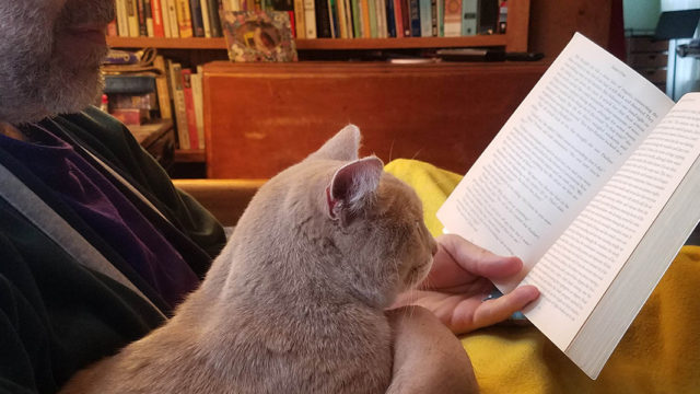 Brian Hall reads a book with cat on his lap