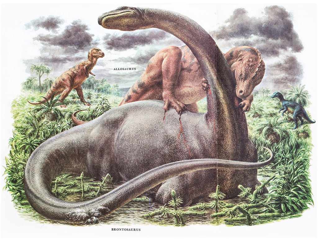 brontosaurus being attacked by allosaurus