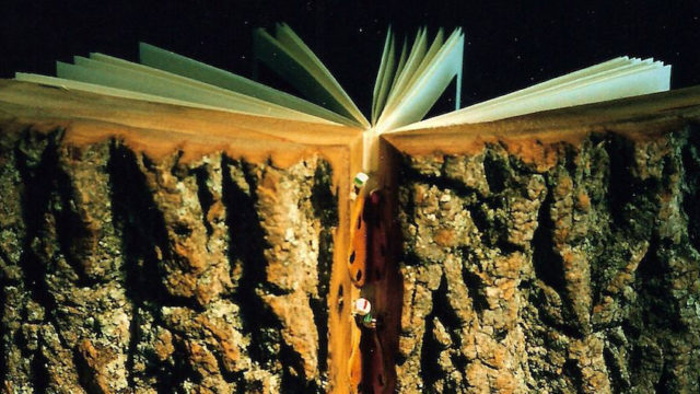 artwork of book with cover made of tree bark and wood