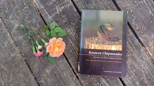 cover of "Eastern Chipmunks" with flower arrangement