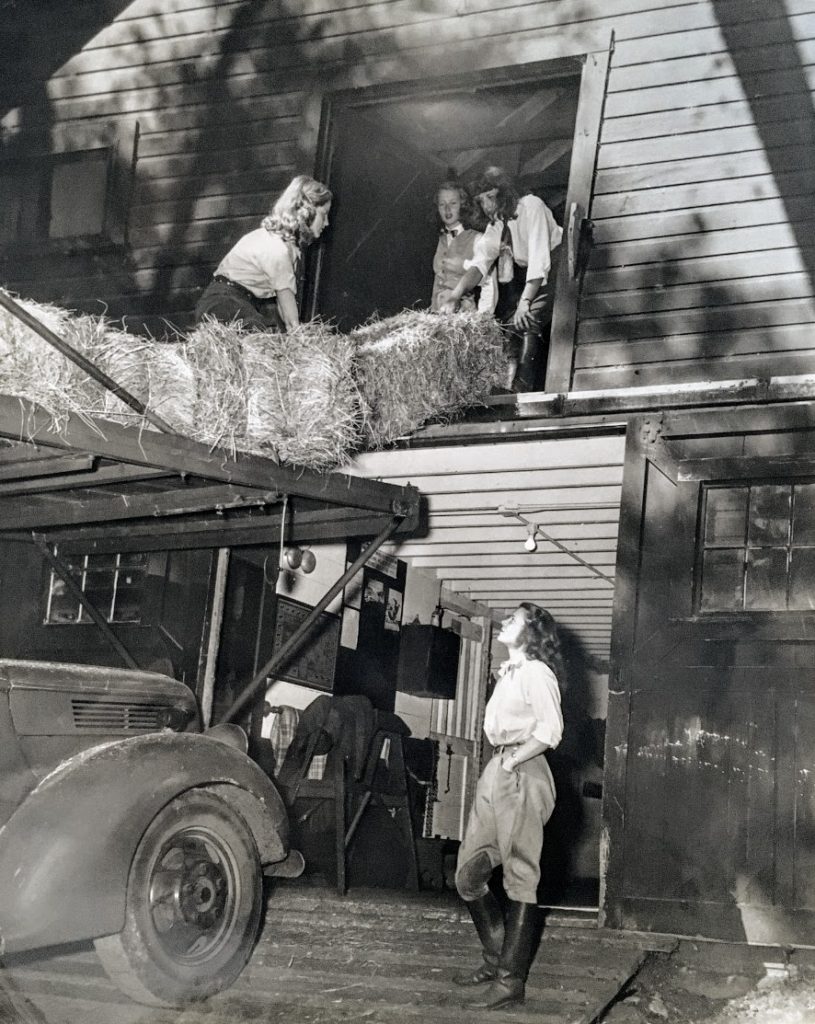 A beautiful black and white photograph that looks like it could be from Life Magazine, of four women outside a horse barn. Three women are above, loading hay into the loft, while a fourth woman looks up from below