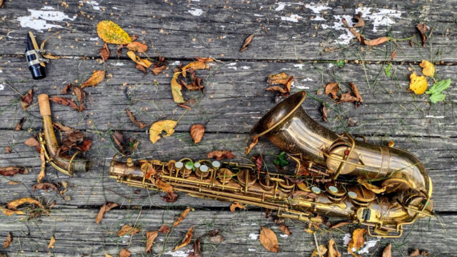 Brian Hall's father's old saxophone, partly disassembled, lying on old unpainted would step with scattered dried leaves